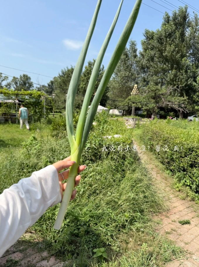 吴昌泽妻子社媒晒近照 2025-26赛季场均2.2分2.1篮板